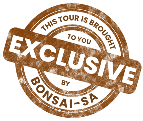 exclusive tour by bonsai-sa