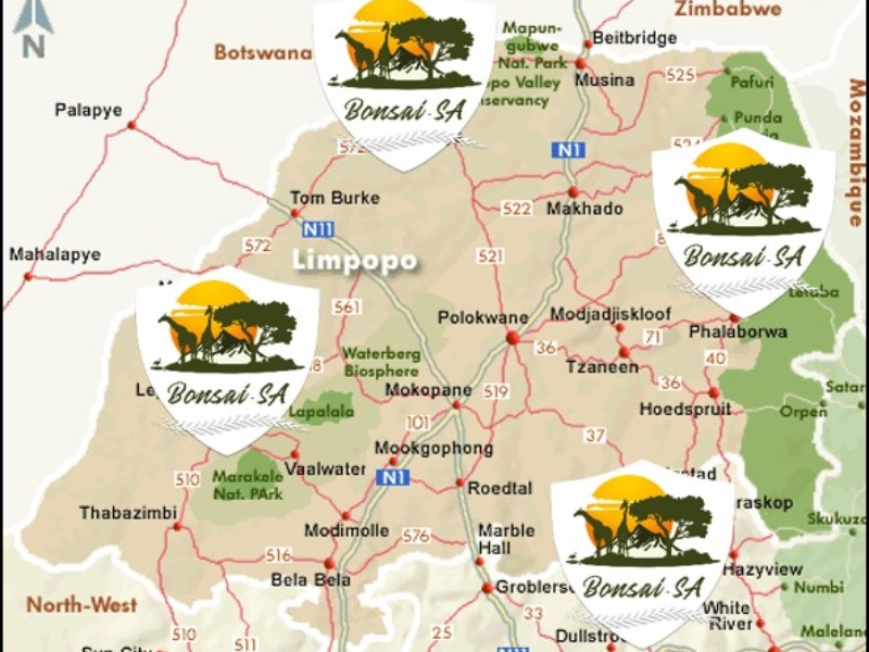 limpopo and mpumalanga