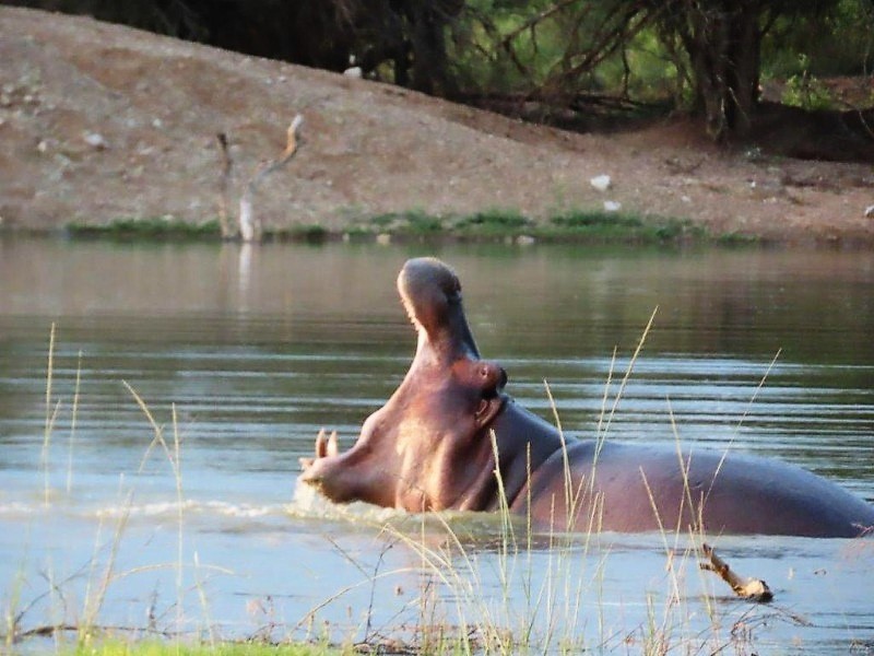 eswatini