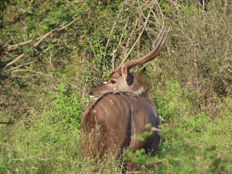 eswatini