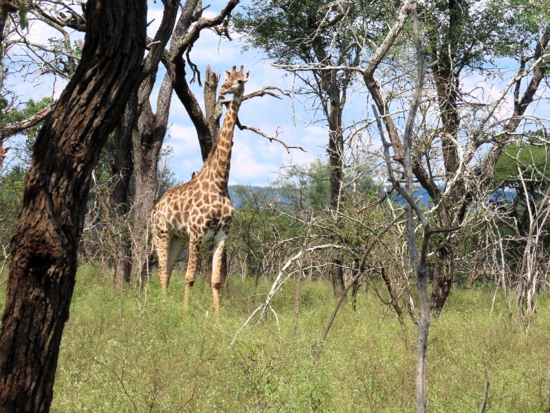 eswatini